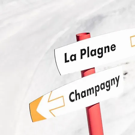 L'echayer - Pour 12 Personnes Mae-3285 La Plagne